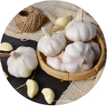 Wholesale Price of Chinese Pure White Normal White Garlic Fresh